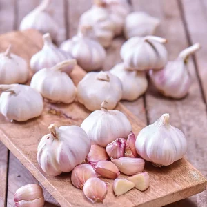 Valkosipuli 'Flavor'